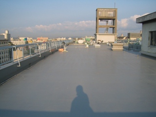sIMG_2529.JPG